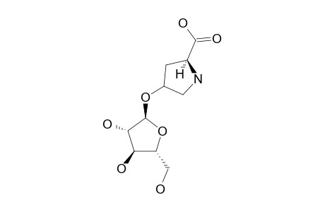 4-O-(ALPHA-L-ARABINOFURANOSYL)-L-HYDROXYPROLINE