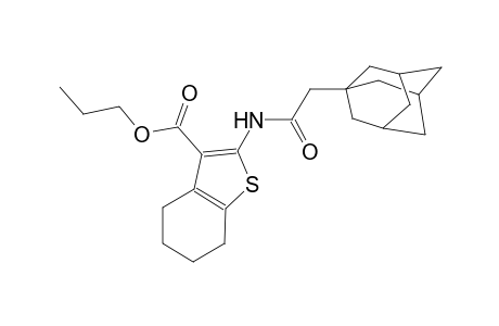 propyl 2-[(1-adamantylacetyl)amino]-4,5,6,7-tetrahydro-1-benzothiophene-3-carboxylate