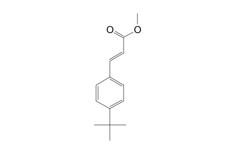 2-Propenoic acid, 3-[4-(1,1-dimethylethyl)phenyl]-, methyl este