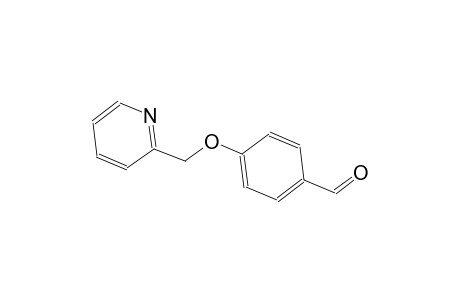4-(2-pyridinylmethoxy)benzaldehyde