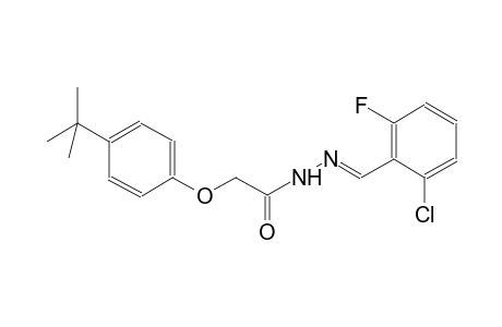 acetic acid, [4-(1,1-dimethylethyl)phenoxy]-, 2-[(E)-(2-chloro-6-fluorophenyl)methylidene]hydrazide