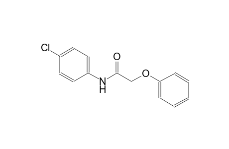 N-(4-chlorophenyl)-2-phenoxy-acetamide