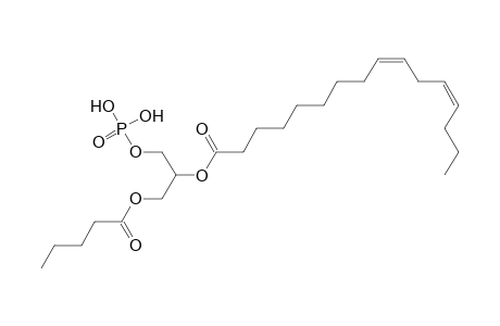 PA 5:0_16:2