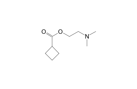 Cyclobutanecarboxylic acid, 2-dimethylaminoethyl ester