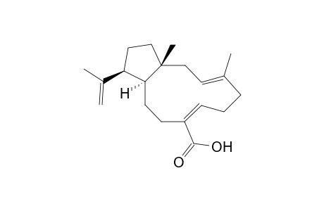 (1R,3E,7Z,11S,13S)-Dolabella-3,7,18-trien-17-oic acid
