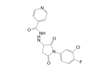 N'-[1-(3-chloro-4-fluorophenyl)-2,5-dioxo-3-pyrrolidinyl]isonicotinohydrazide