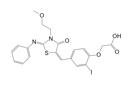 (2-iodo-4-{(E)-[(2Z)-3-(2-methoxyethyl)-4-oxo-2-(phenylimino)-1,3-thiazolidin-5-ylidene]methyl}phenoxy)acetic acid