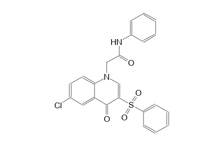 1-quinolineacetamide, 6-chloro-1,4-dihydro-4-oxo-N-phenyl-3-(phenylsulfonyl)-