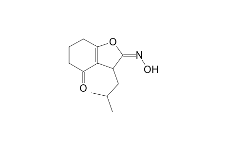 (E)-2-(Hydroxyimino)-3-isobutyl-2,3,6,7-tetrahydro benzofuran-4(5H)-one