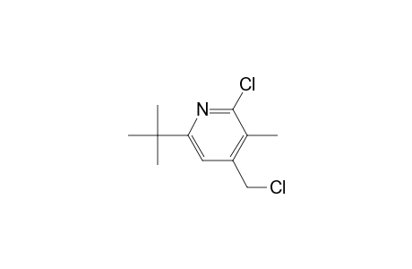 6-tert-butyl-2-chloranyl-4-(chloromethyl)-3-methyl-pyridine