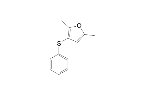 2,5-DIMETHYL-3-PHENYLTHIOFURAN