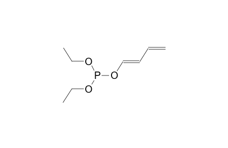 (E,Z)-DIETHYL(1,3-BUTADIENYL)PHOSPHITE