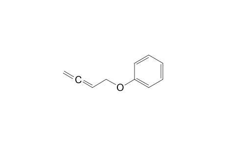 (2,3-Butadienyloxy)benzene