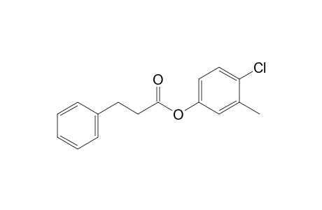 3-Phenylpropionic acid, 3-methyl-4-chlorophenyl ester