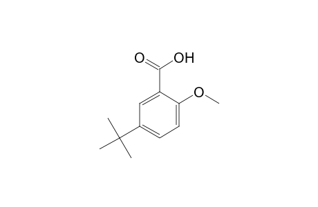 5-tert-Butyl-2-methoxybenzoic acid