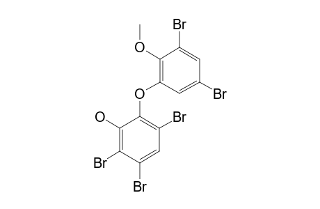 2,3,5-TRIBROMO-(3',5'-DIBROMO-2'-METHOXYPHENOXY)-PHENOL