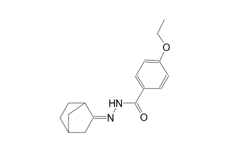 N'-[(2Z)-bicyclo[2.2.1]hept-2-ylidene]-4-ethoxybenzohydrazide