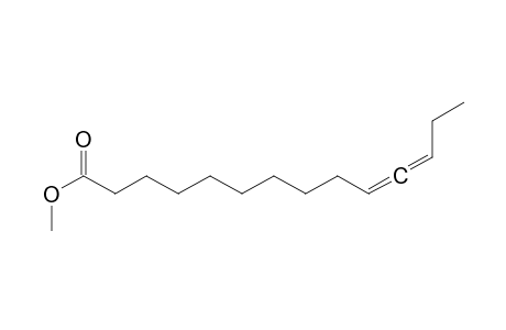 Methyl tetradeca-10,11-dienoate
