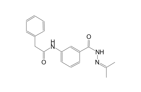 benzoic acid, 3-[(phenylacetyl)amino]-, 2-(1-methylethylidene)hydrazide