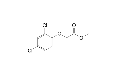 (2,4-dichlorophenoxy)acetic acid, methyl ester