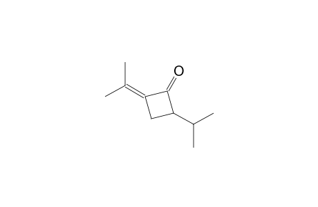 2-Propan-2-yl-4-propan-2-ylidene-1-cyclobutanone