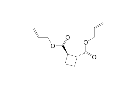 trans diallyl ester of 1,2-cyclobutanedicarboxylic acid