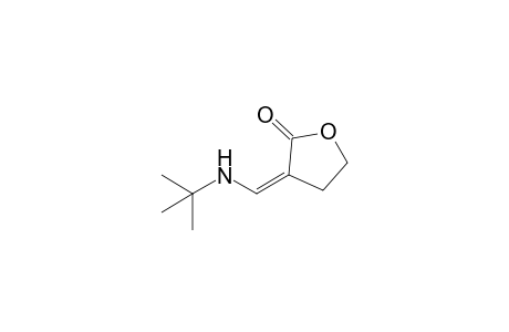 3-[(t-Butylamino)methylidene]-tetrahydrofuran-2-one