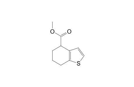 4,5,6,7-TETRAHYDRO-4-BENZO-[B]-THIOPHENCARBOXYLIC-ACID,METHYLESTER