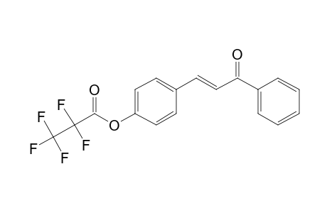 4-Hydroxychalcone, pentafluoropropionate