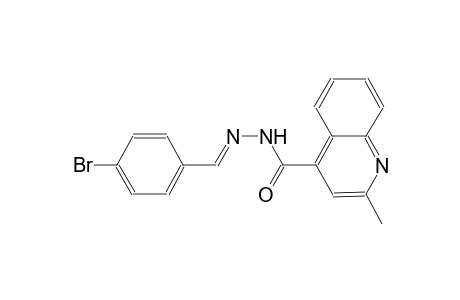 N'-[(E)-(4-bromophenyl)methylidene]-2-methyl-4-quinolinecarbohydrazide