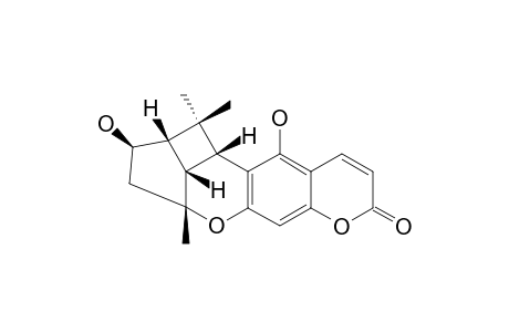 5'-BETA-HYDROXY-ERIOBRUCINOL