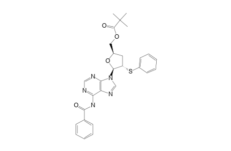 N6-BENZOYL-9-(5-O-PIVALOYL-2,3-DIDEOXY-2-PHENYLTHIO-BETA-D-ERYTHRO-PENTOFURANOSYL)-ADENINE