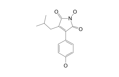 ANTROCINNAMOMIN_B;3-ISOBUTYL-4-(4-HYDROXYPHENYL)-1-H-PYRROL-1-OLE-2,5-DIONE