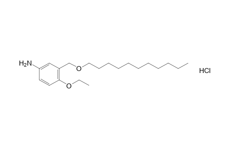 3-[(undecyloxy)methyl]-p-phenetidine, hydrochloride