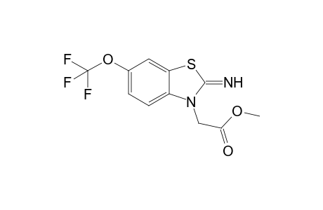 2-[2-imino-6-(trifluoromethoxy)-1,3-benzothiazol-3-yl]acetic acid methyl ester