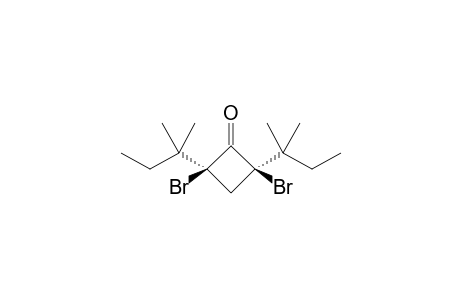 (2R,4S)-2,4-bis(bromanyl)-2,4-bis(2-methylbutan-2-yl)cyclobutan-1-one