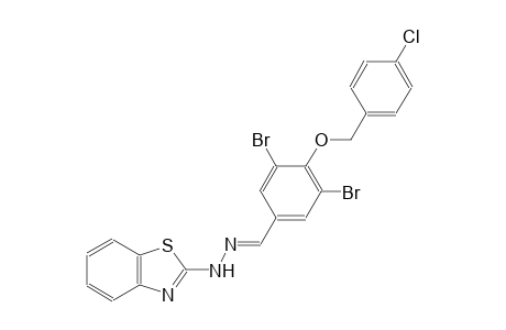 3,5-dibromo-4-[(4-chlorobenzyl)oxy]benzaldehyde 1,3-benzothiazol-2-ylhydrazone