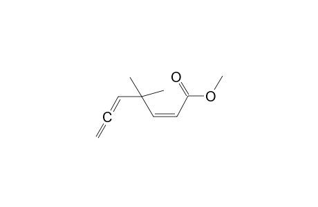 (2Z)-4,4-dimethylhepta-2,5,6-trienoic acid methyl ester