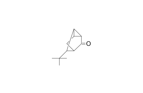 anti-5-tert.-Butyl-tricyclo-[2.2.1.O(2,6)]-heptan-3-one