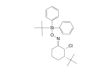 (E)CIS-2-CHLORO-3-(1,1-DIMETHYLETHYL)-CYCLOHEXANONE-O-(TERT.-BUTYLDIPHENYSILYL)-OXIME