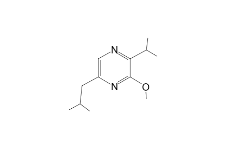 3-Methoxy-5-(2-methylpropyl)-2-propan-2-yl-pyrazine