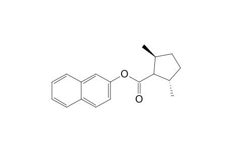 2-Naphthyl (2S,5S)-2,5-Dimethylcyclopentanecaboxyloate