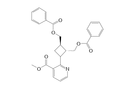 METHYL-2-[2,3-BIS-(BENZOYLOXYMETHYL)-CYCLOBUTYL]-NICOTINATE