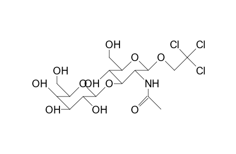 2,2,2-Trichloroethyl-2-acetamido-2-deoxy-3-O-(.beta.-D-galactopyranosyl).beta.-D-glucopyranoside