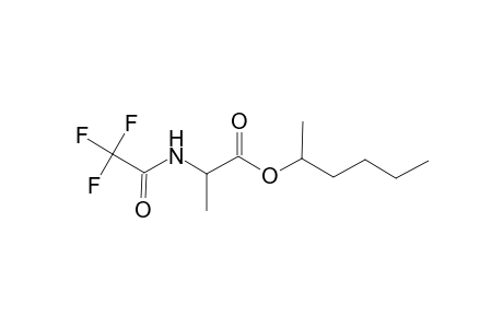 L-Alanine, N-(trifluoroacetyl)-, 1-methylpentyl ester