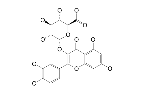 QUERCETIN-3-ALPHA-GLUCURONIDE