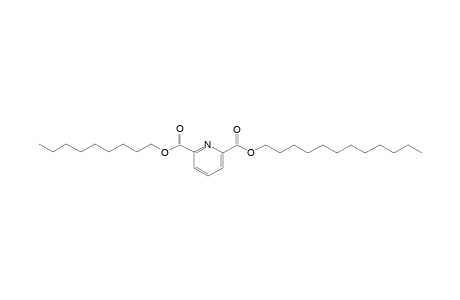 2,6-Pyridinedicarboxylic acid, dodecyl nonyl ester