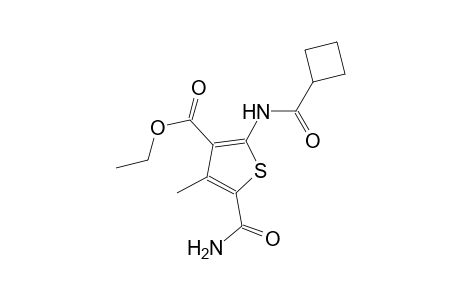 ethyl 5-(aminocarbonyl)-2-[(cyclobutylcarbonyl)amino]-4-methyl-3-thiophenecarboxylate