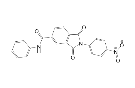 1H-isoindole-5-carboxamide, 2,3-dihydro-2-(4-nitrophenyl)-1,3-dioxo-N-phenyl-