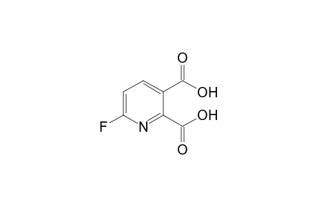 6-Fluoropyridine-2,3-dicarboxylic acid